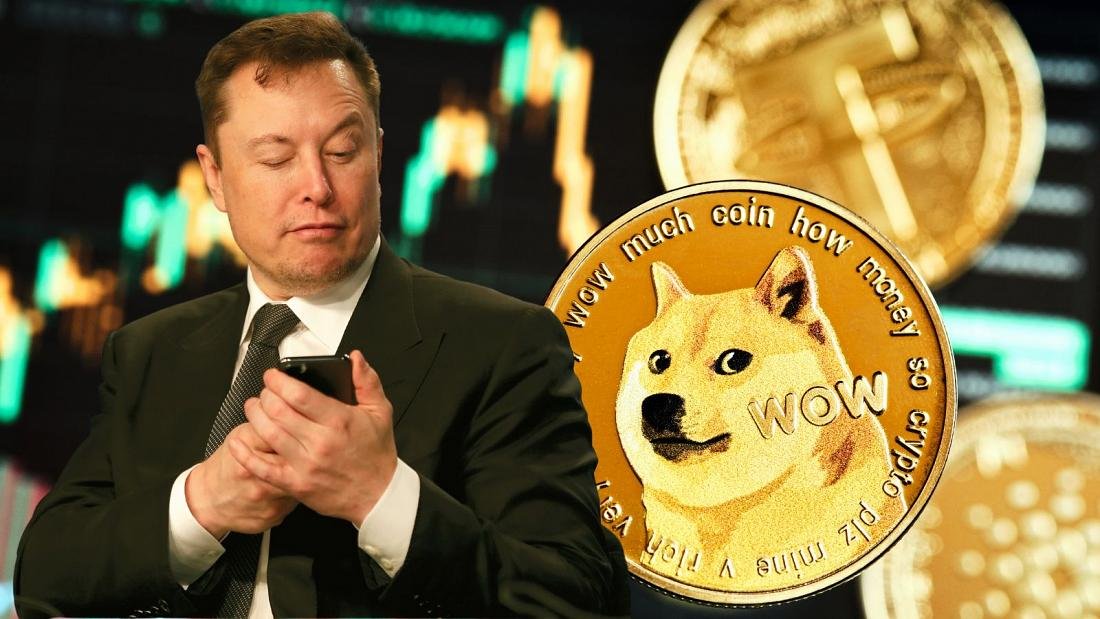 Elon Musk, Tesla and SpaceX sued for 8 billion over supposed Dogecoin fraudulent business model