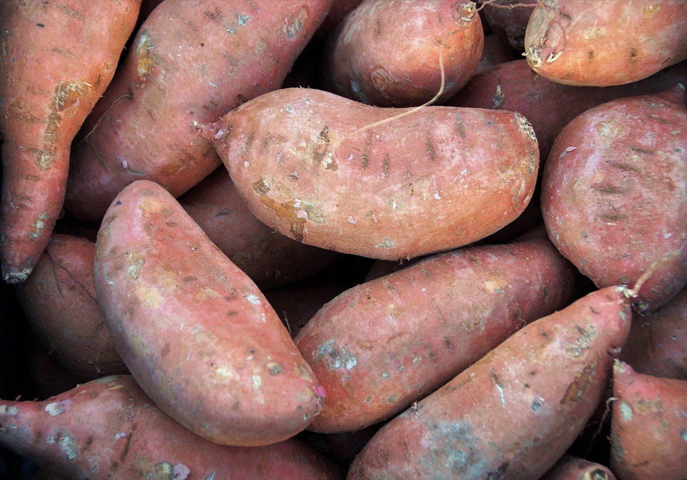 A bitter memory of a sweet potato