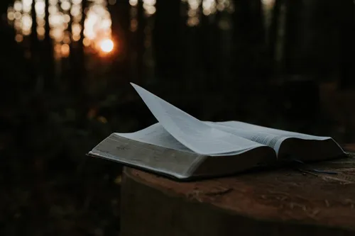 5 Painfully Obvious Truths We Tend to Forget in Hard Times
